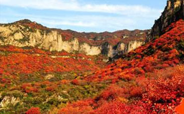 满山的枫叶好像什么怎么写