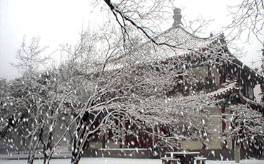 雪花什么他什么地说我是什么